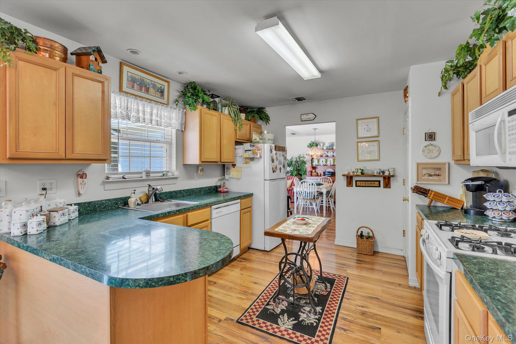702 Pebble Beach Path Property Photo 21