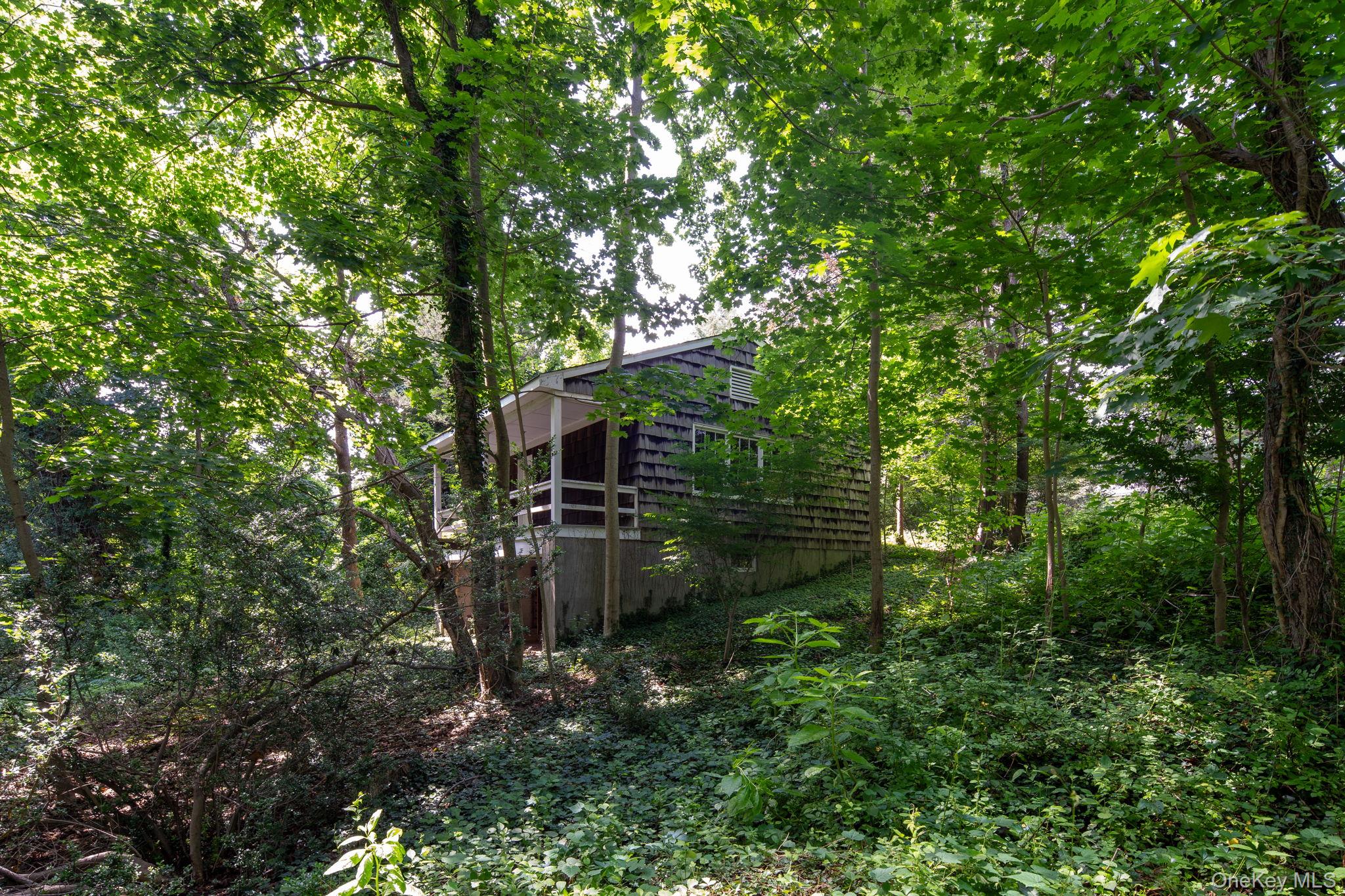 209 Southdown Road Property Photo 6