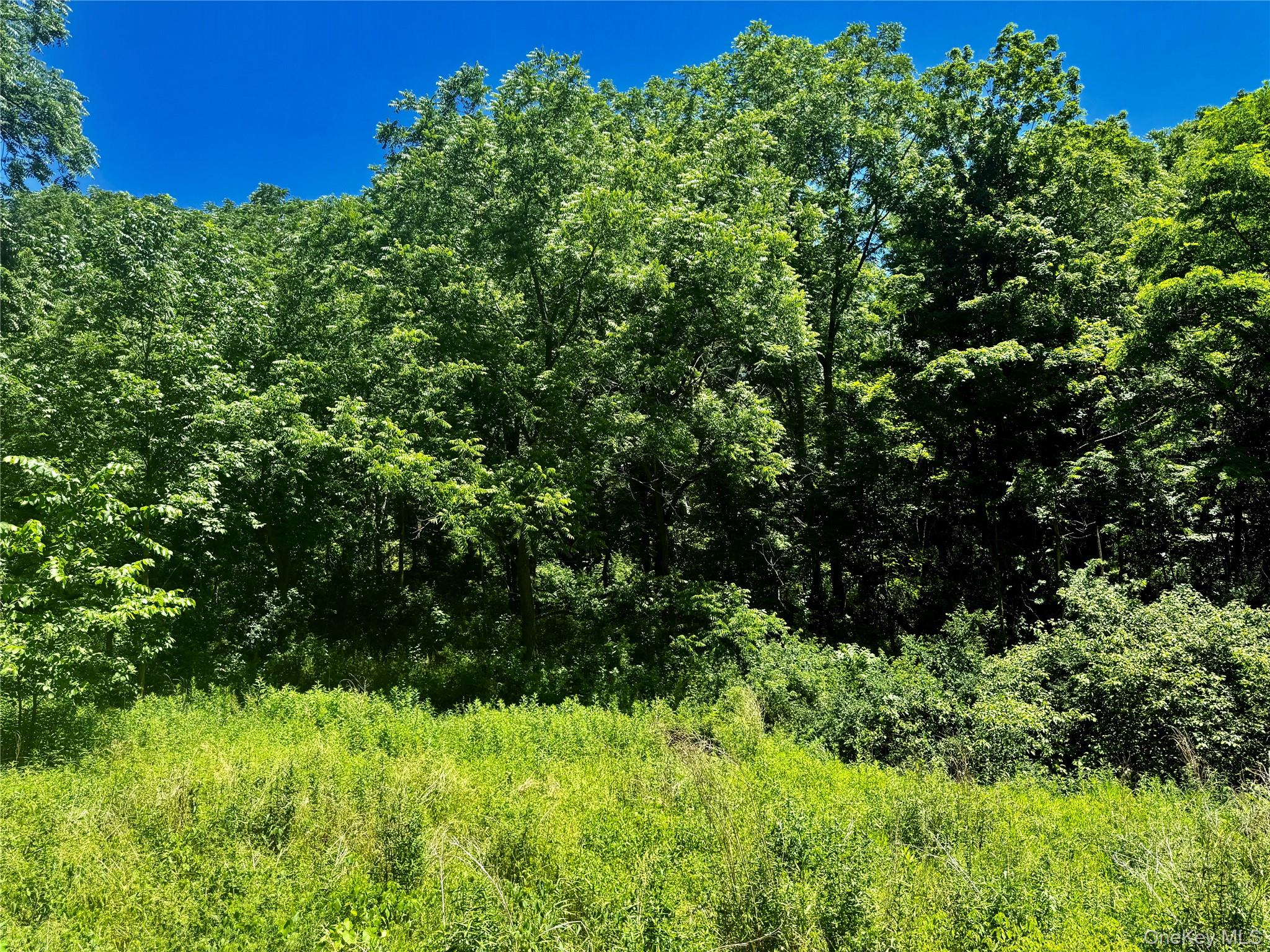 513 Rossway Road Property Photo 4