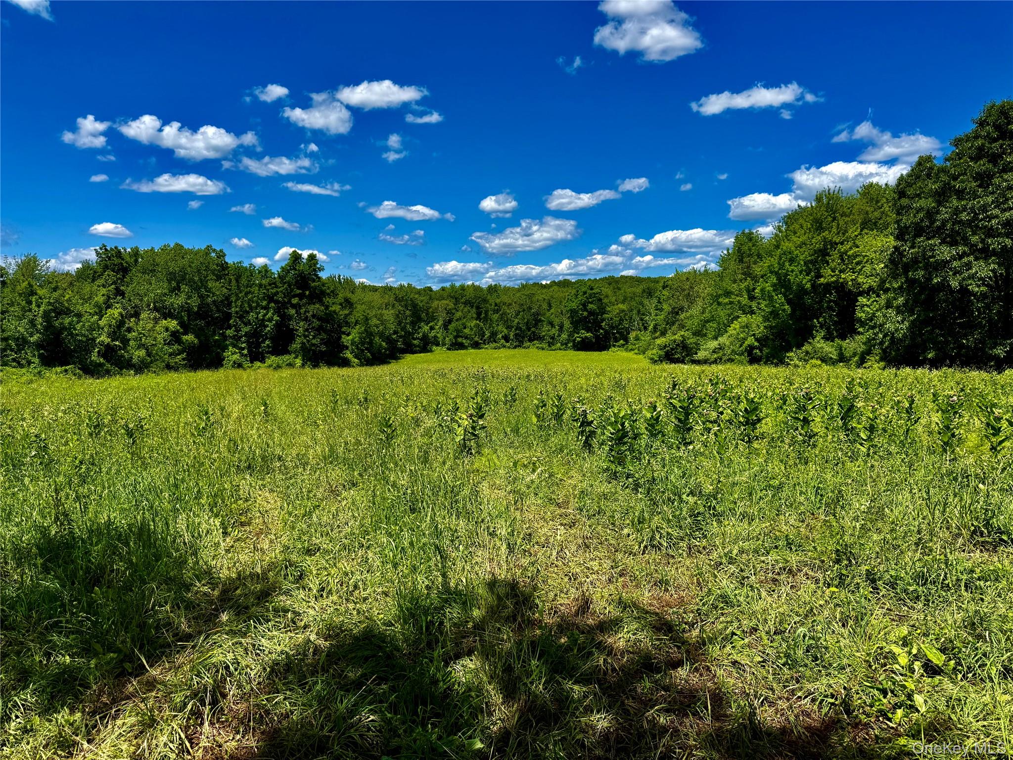 513 Rossway Road Property Photo 12