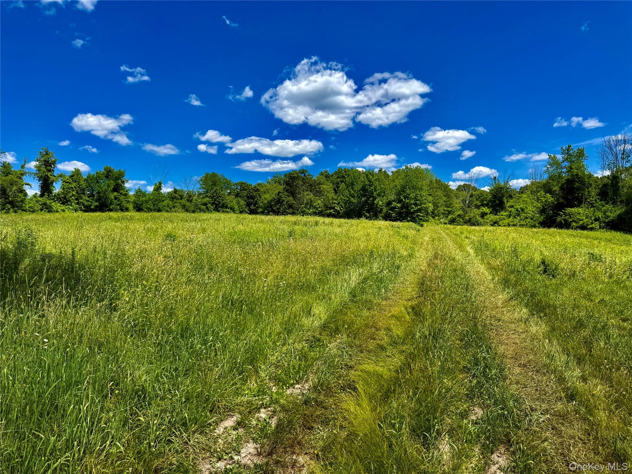 513 Rossway Road Property Photo 15