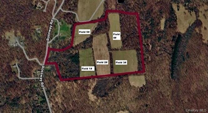 513 Rossway Road Property Photo 17