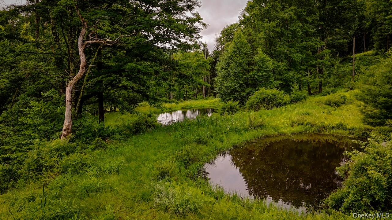 385 Sundown Road Property Photo 23