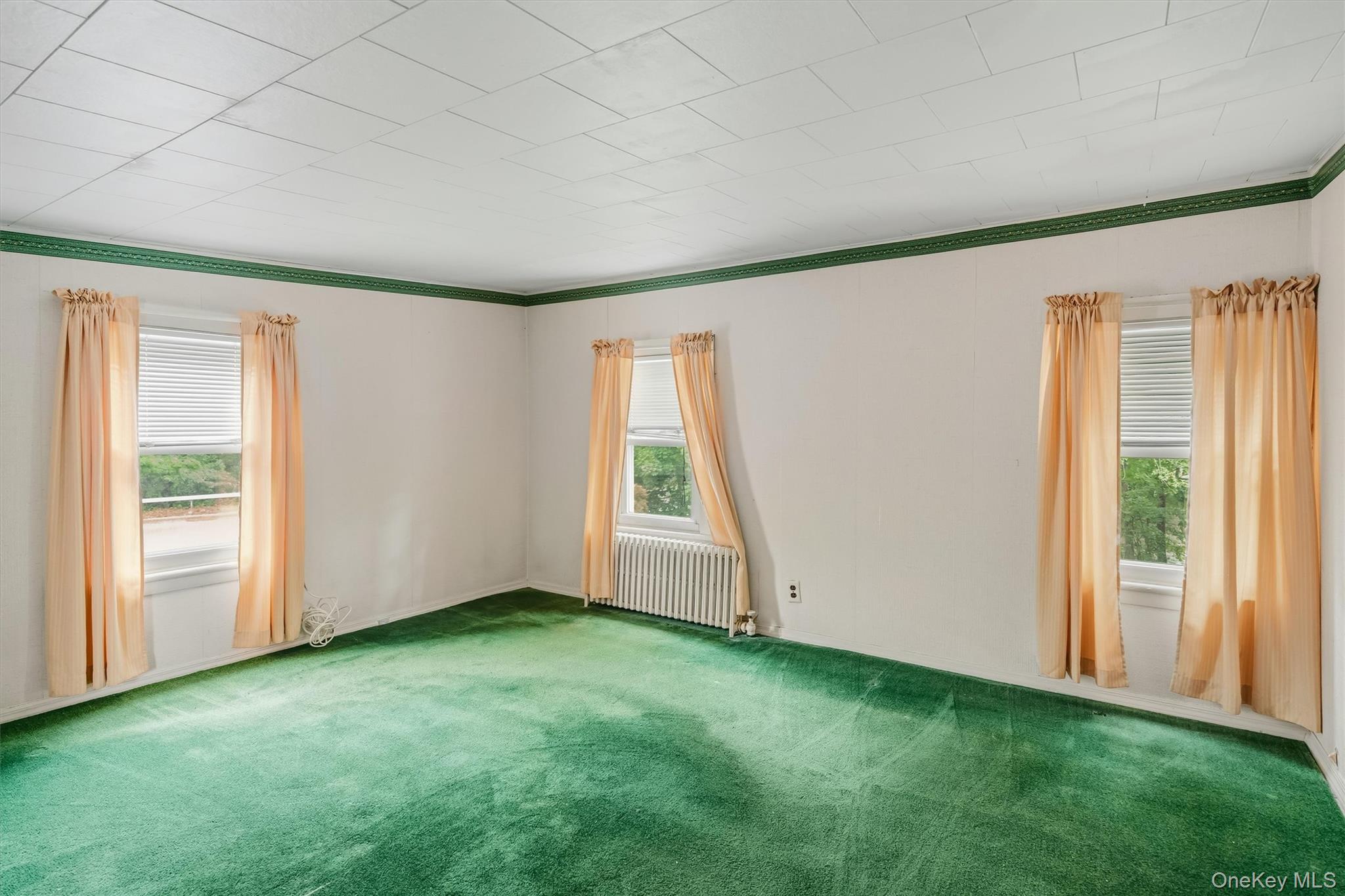 331 Kings Highway Property Photo 26