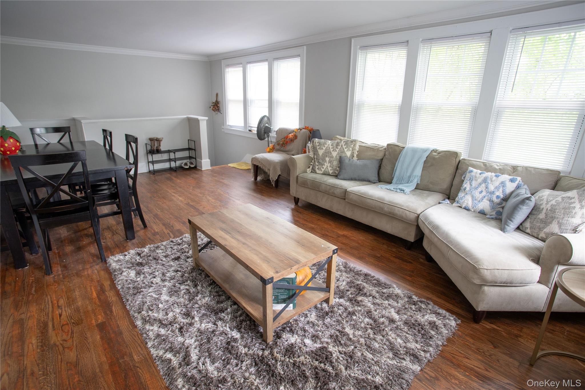 3 Ann Street Property Photo 6