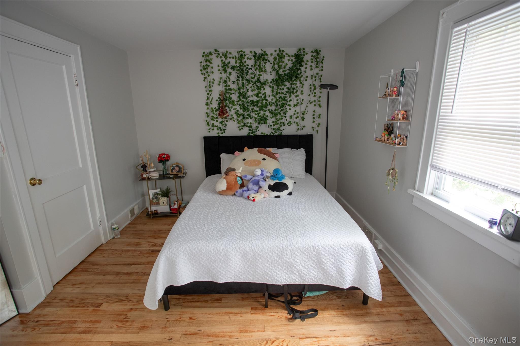 3 Ann Street Property Photo 12