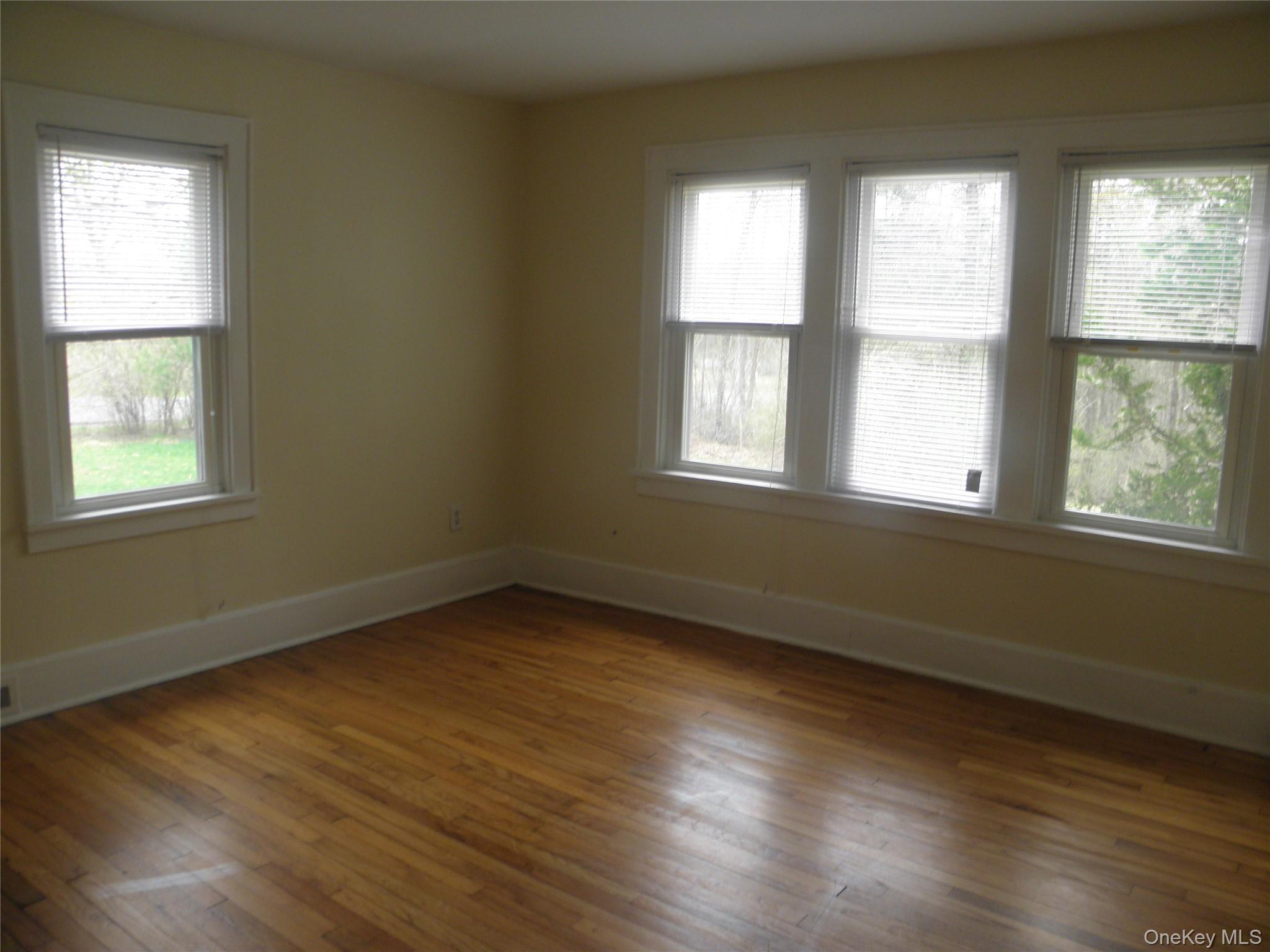 3 Ann Street Property Photo 22