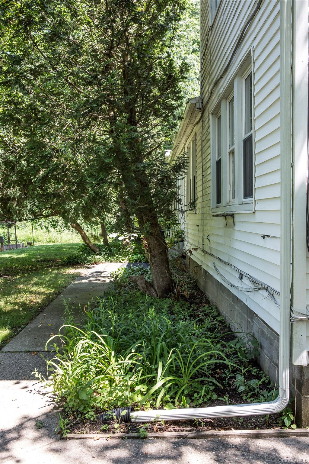 3 Ann Street Property Photo 27