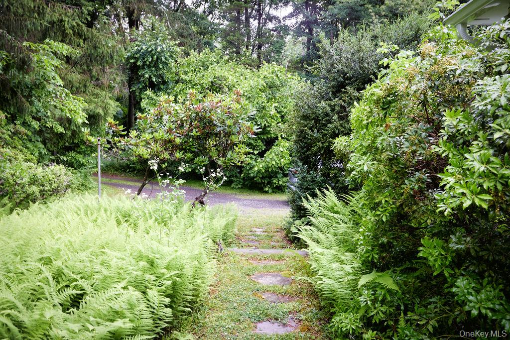 21 Elmwood Road Property Photo 22