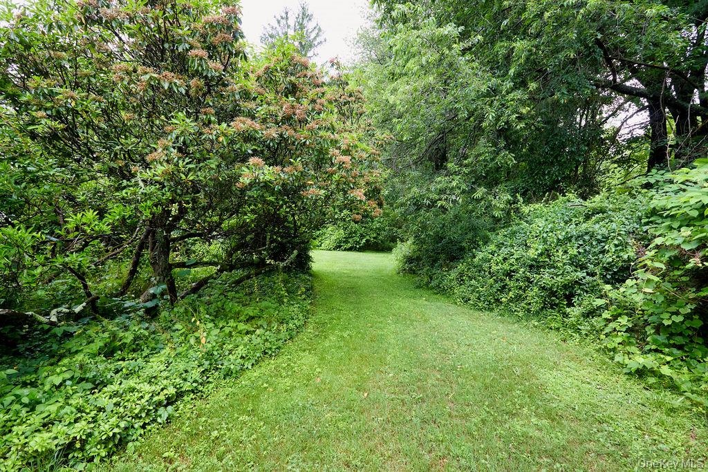 21 Elmwood Road Property Photo 25