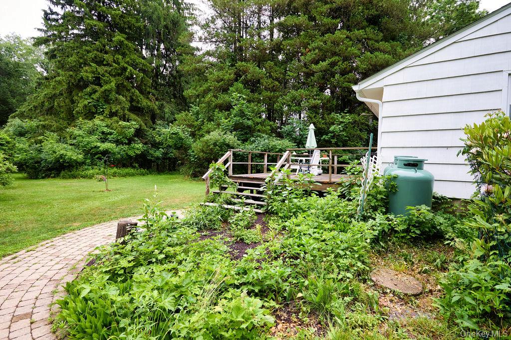 21 Elmwood Road Property Photo 27