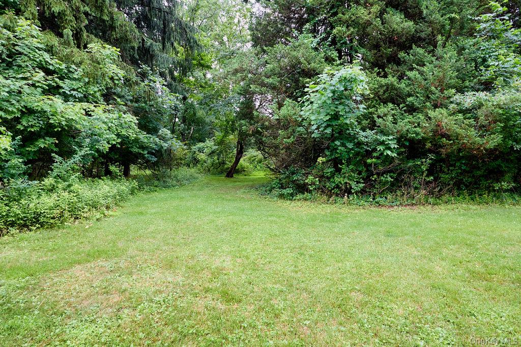 21 Elmwood Road Property Photo 29