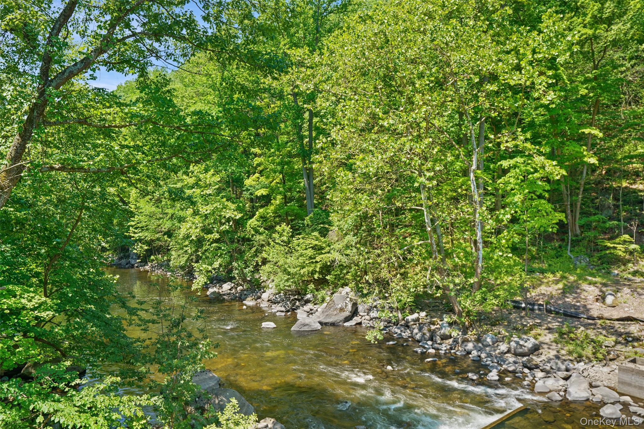 1017 Quaker Bridge Road Property Photo 16