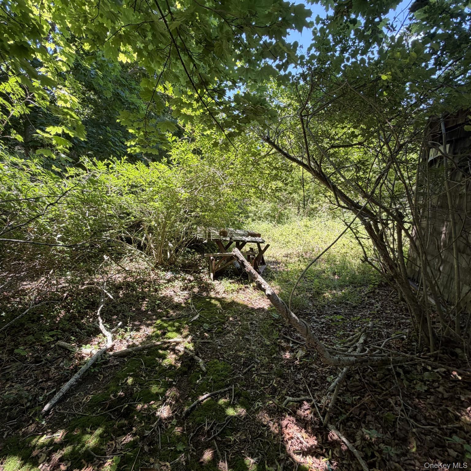 67 Tanners Neck Lane Property Photo 9
