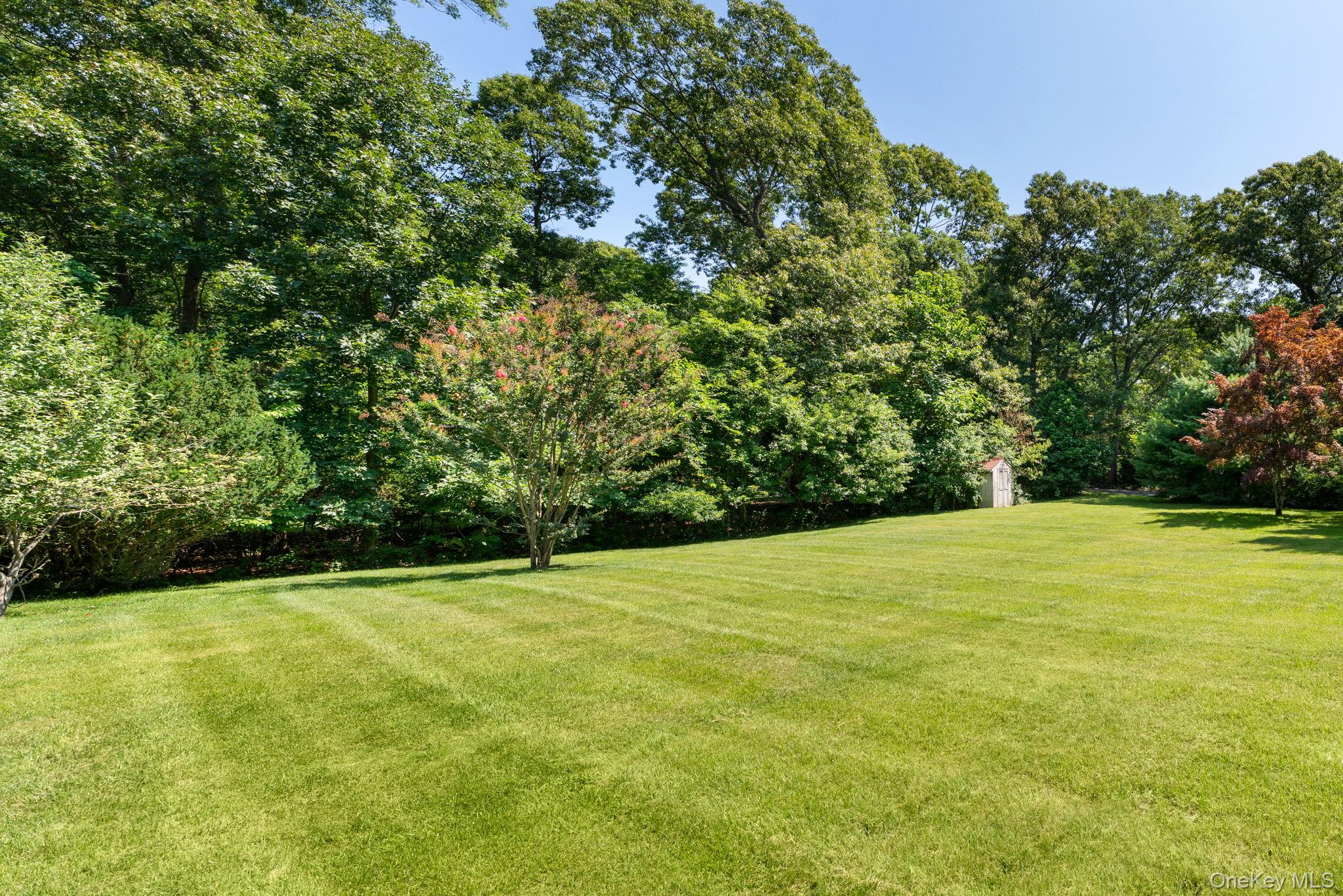 25 Brewster Avenue Property Photo 28