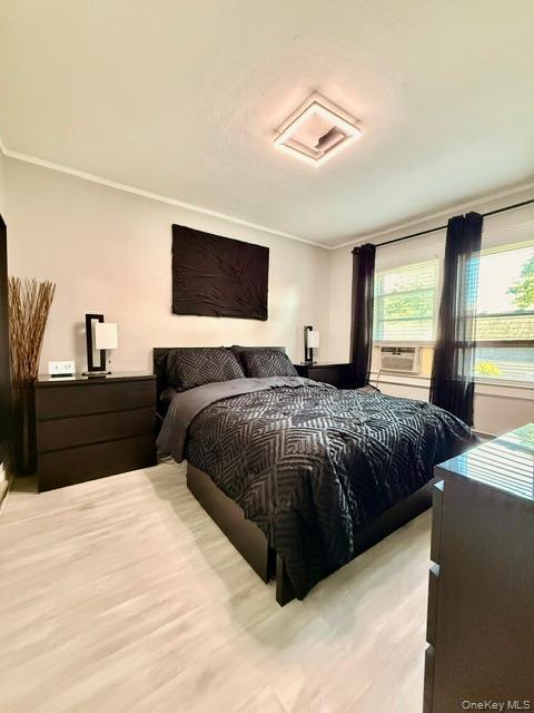 43 Elinor Place Property Photo 6
