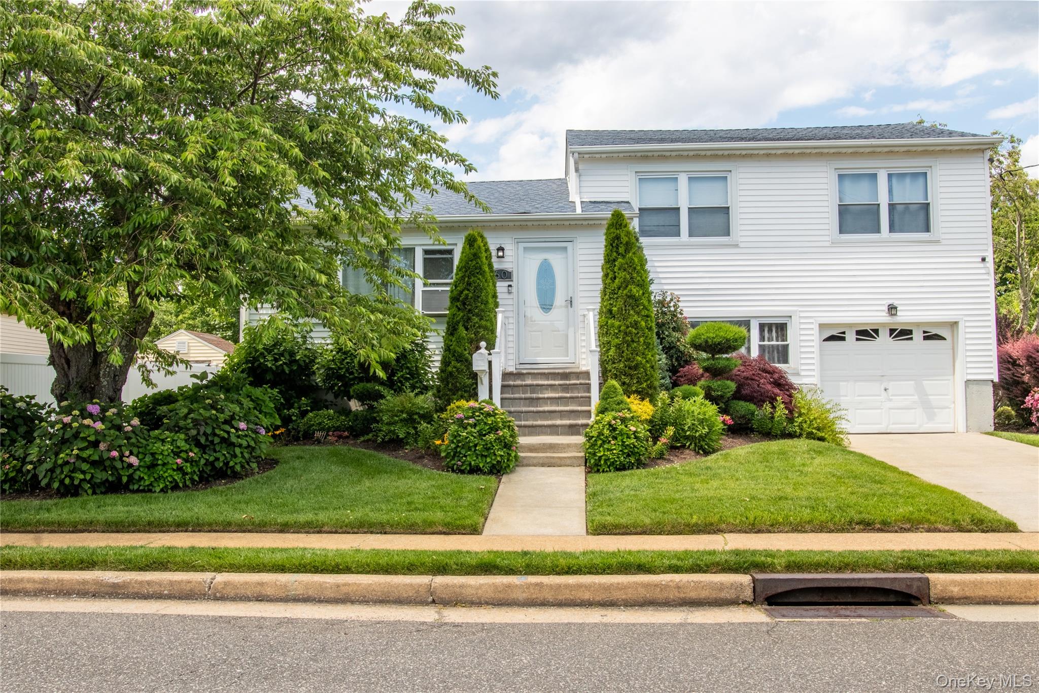 60 Lewis Street Property Photo 1