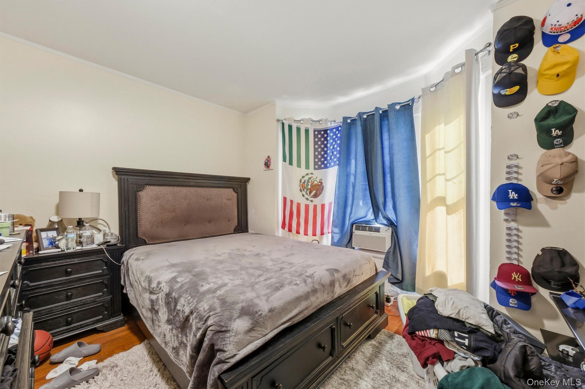 17 Carroll Street Property Photo 8