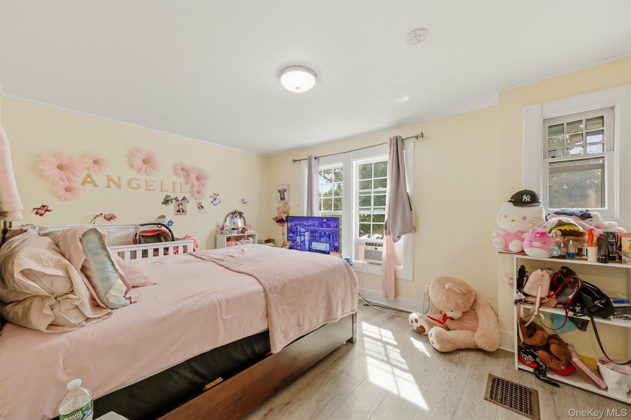 17 Carroll Street Property Photo 21