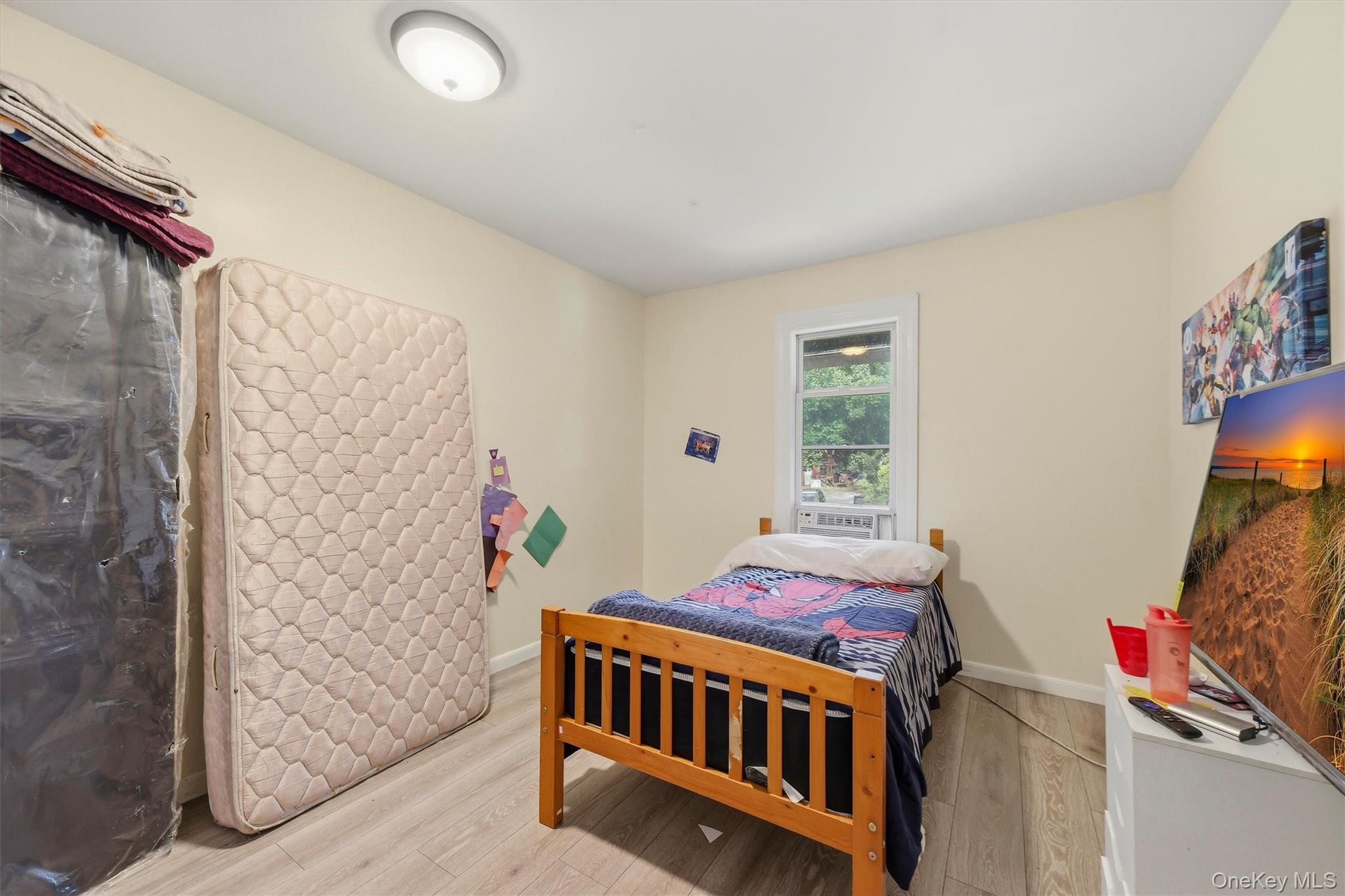 17 Carroll Street Property Photo 22