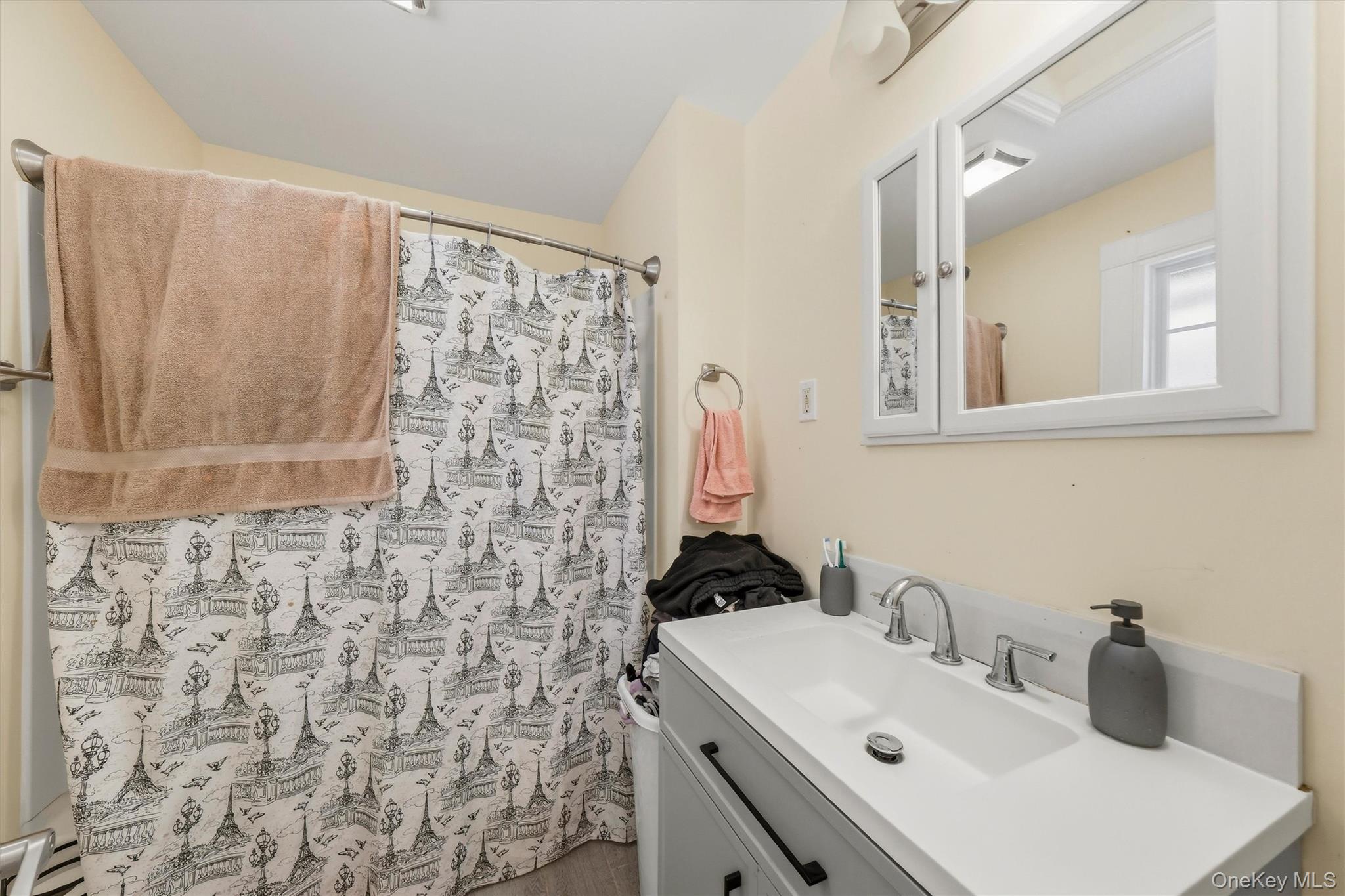 17 Carroll Street Property Photo 23