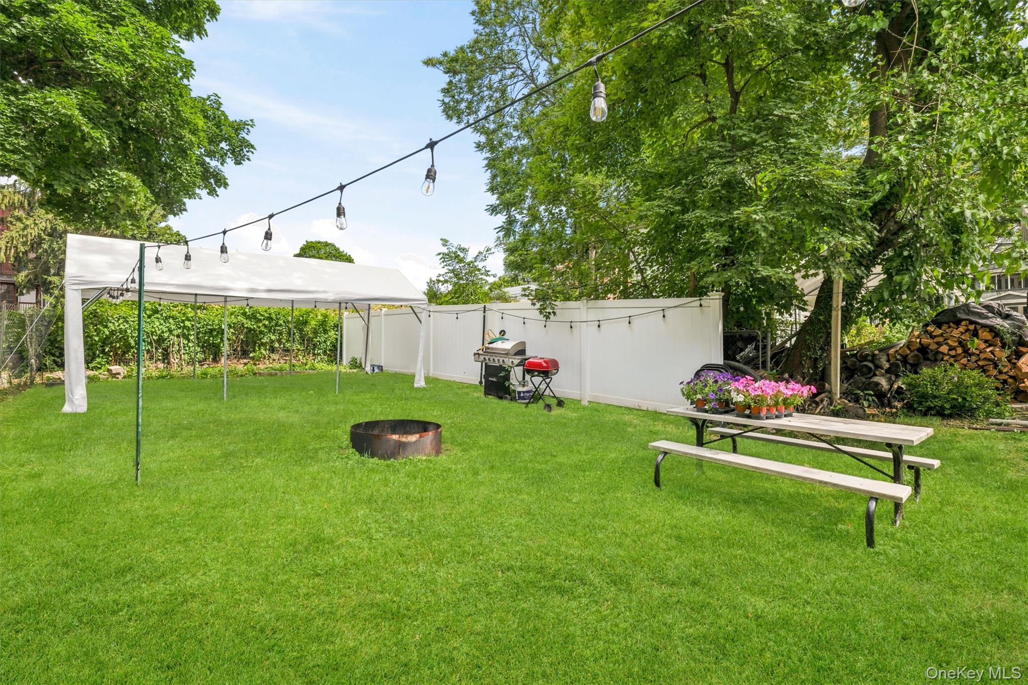 17 Carroll Street Property Photo 24