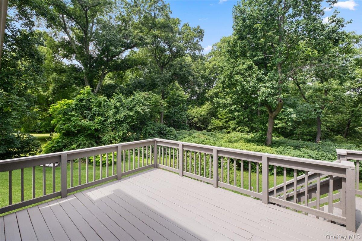 163 Mount Airy Road Property Photo 39