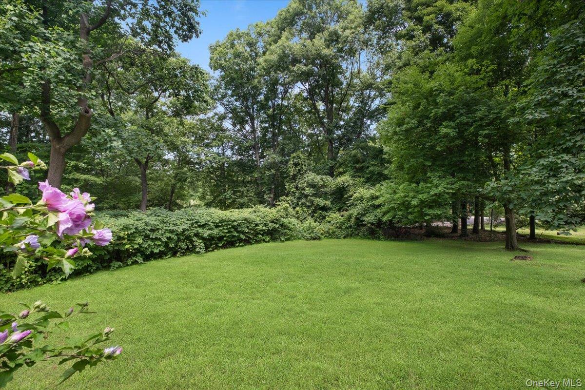 163 Mount Airy Road Property Photo 41