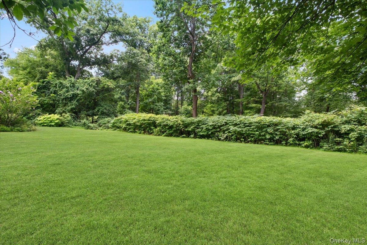 163 Mount Airy Road Property Photo 42