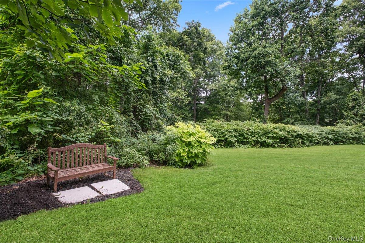 163 Mount Airy Road Property Photo 43