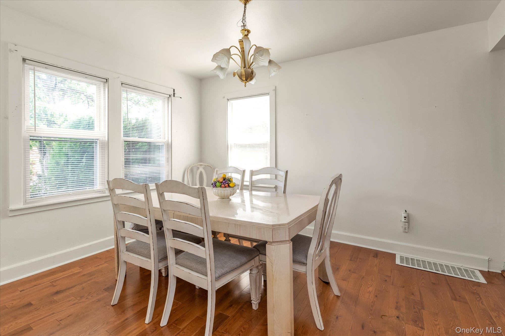 343 Nassau Boulevard Property Photo 6