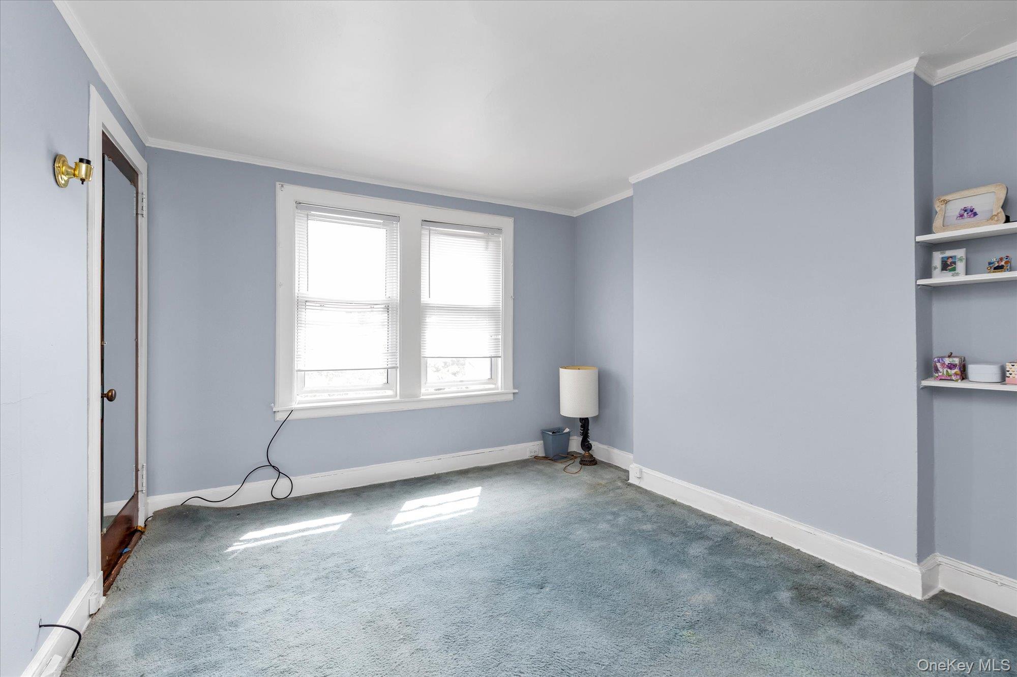 343 Nassau Boulevard Property Photo 14