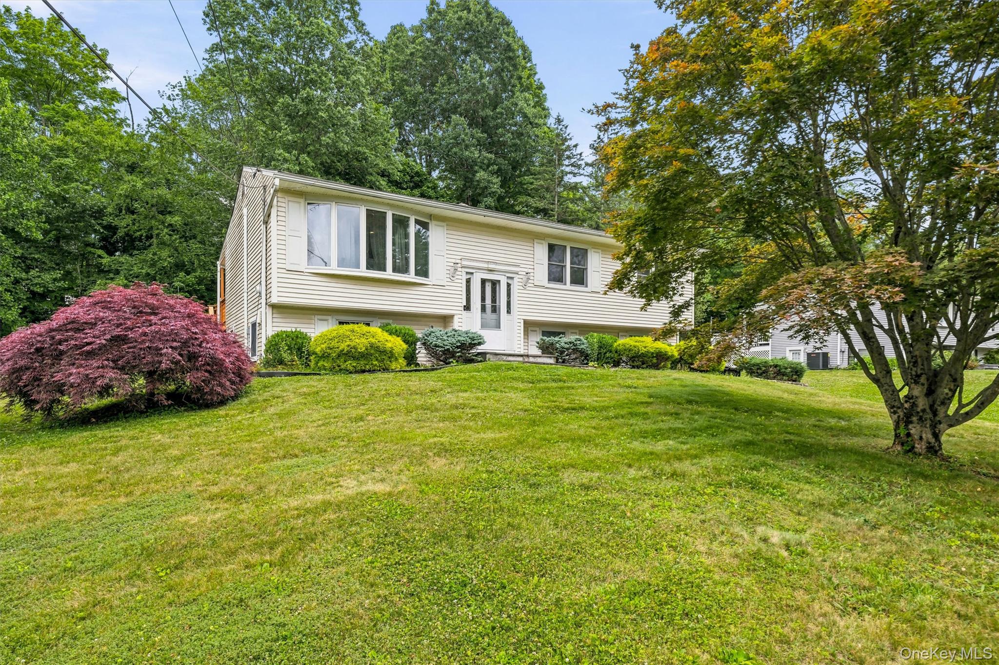 53 Everett Road Property Photo 2