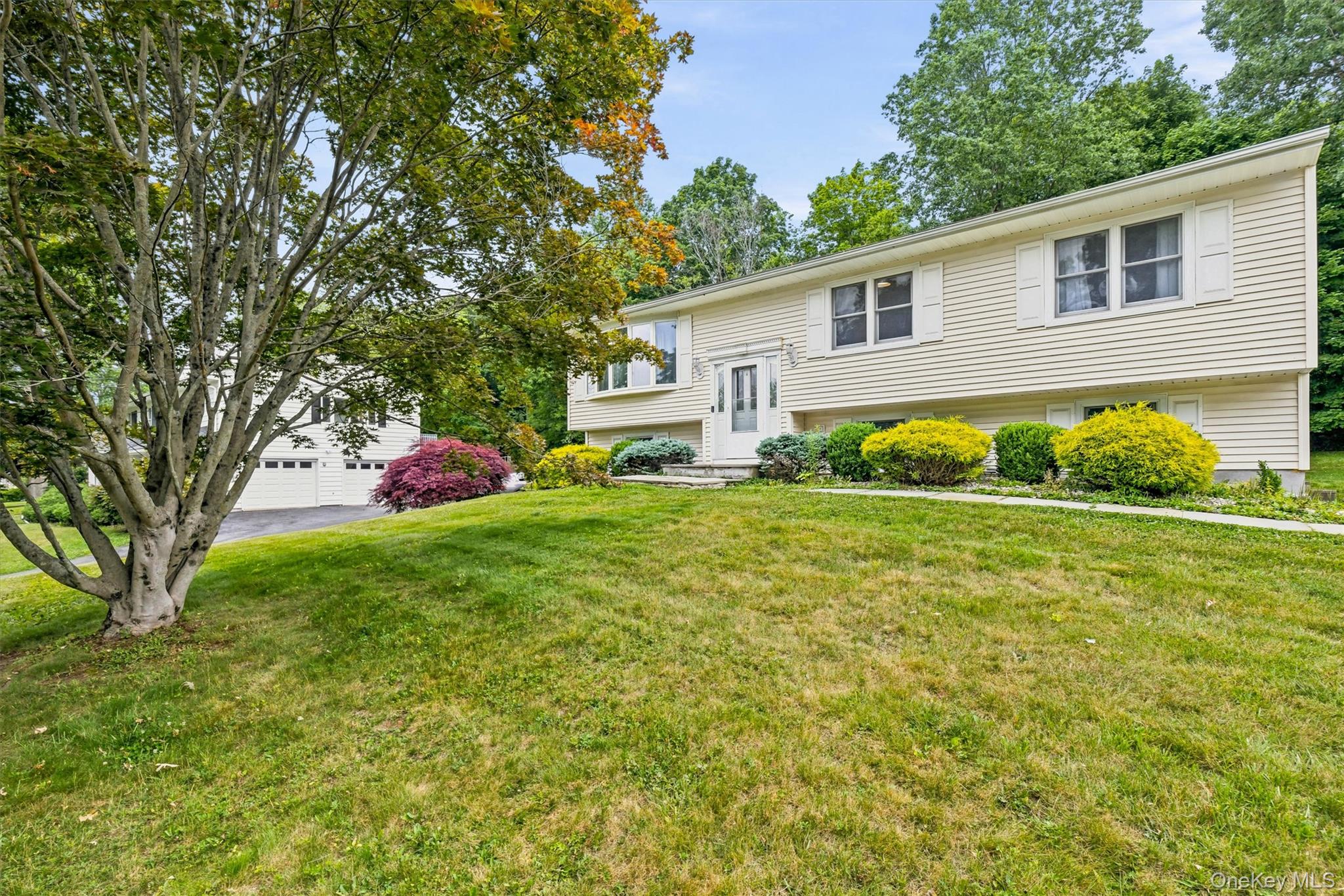 53 Everett Road Property Photo 4