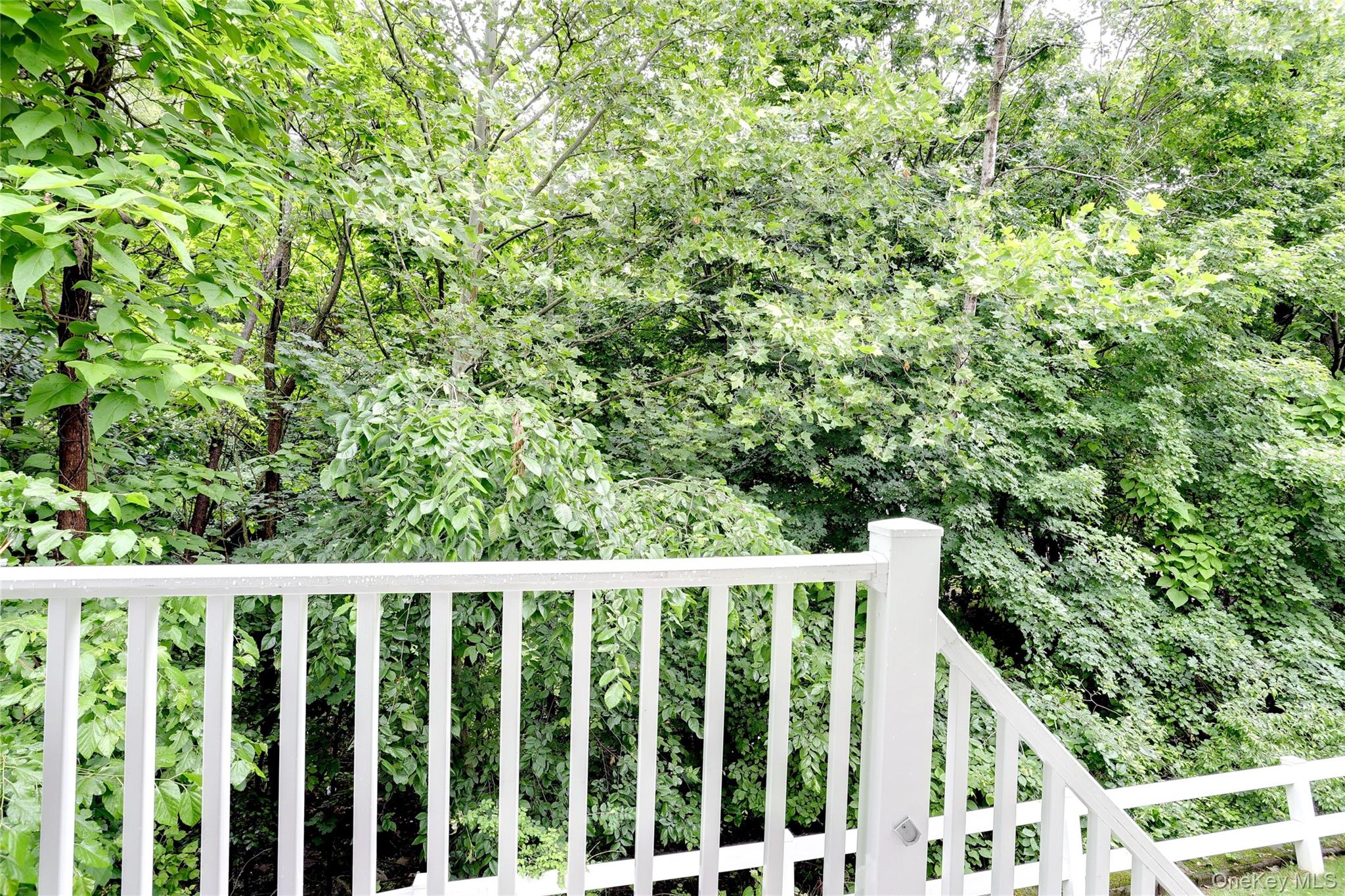 141 Meadow Lane Property Photo 35