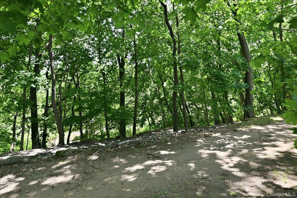 1017162 Property Photo 41
