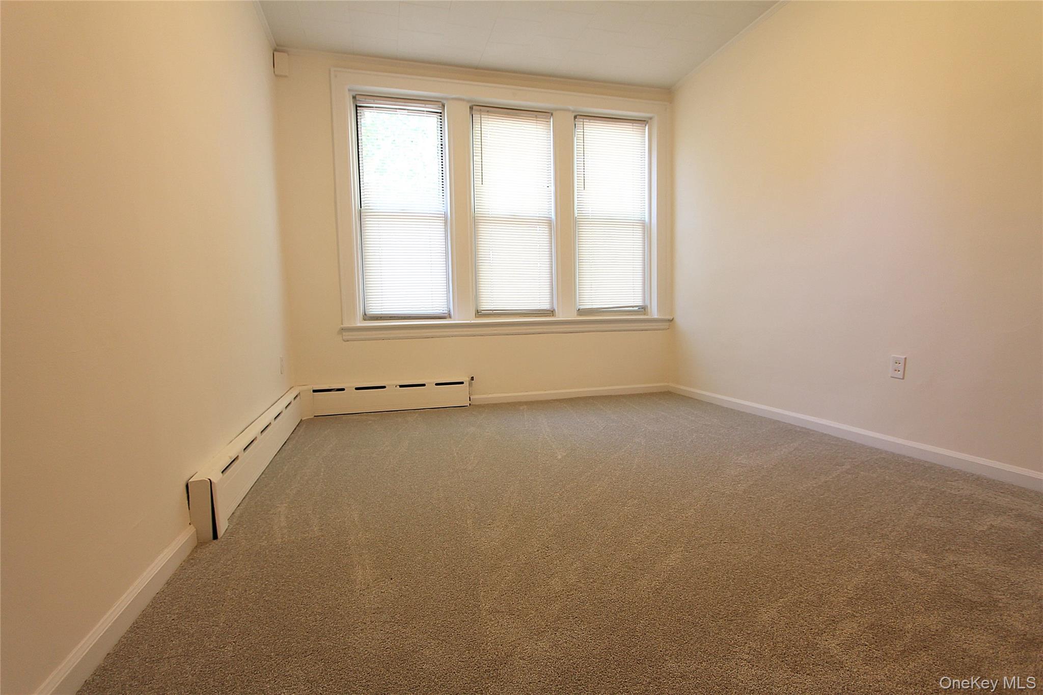 70-32 65th Street Property Photo 19