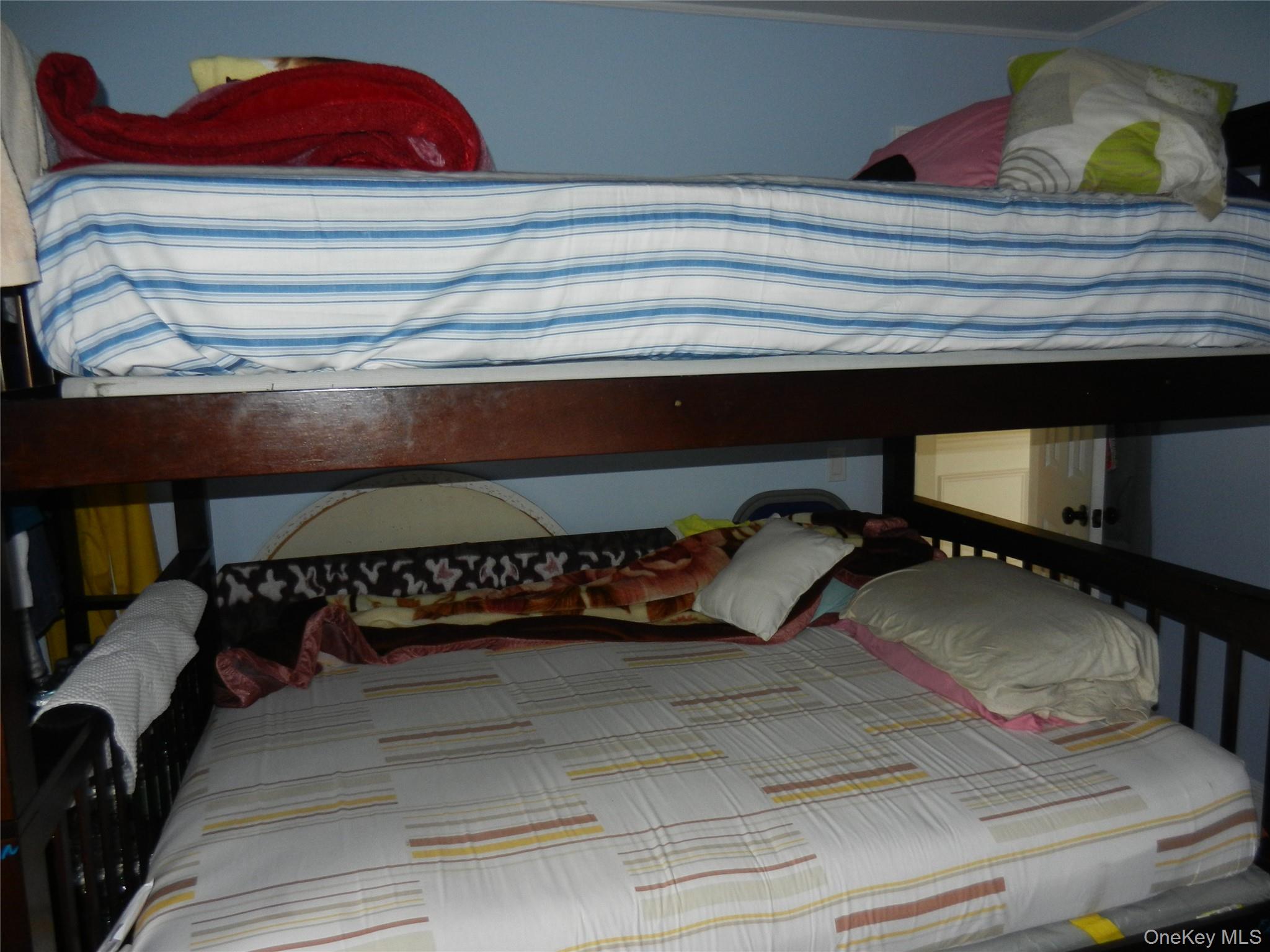 64 Avondale Street Property Photo 9
