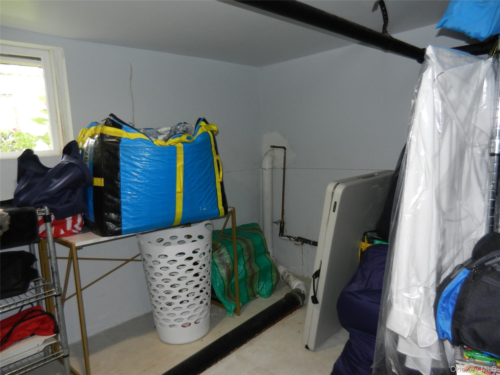 64 Avondale Street Property Photo 19