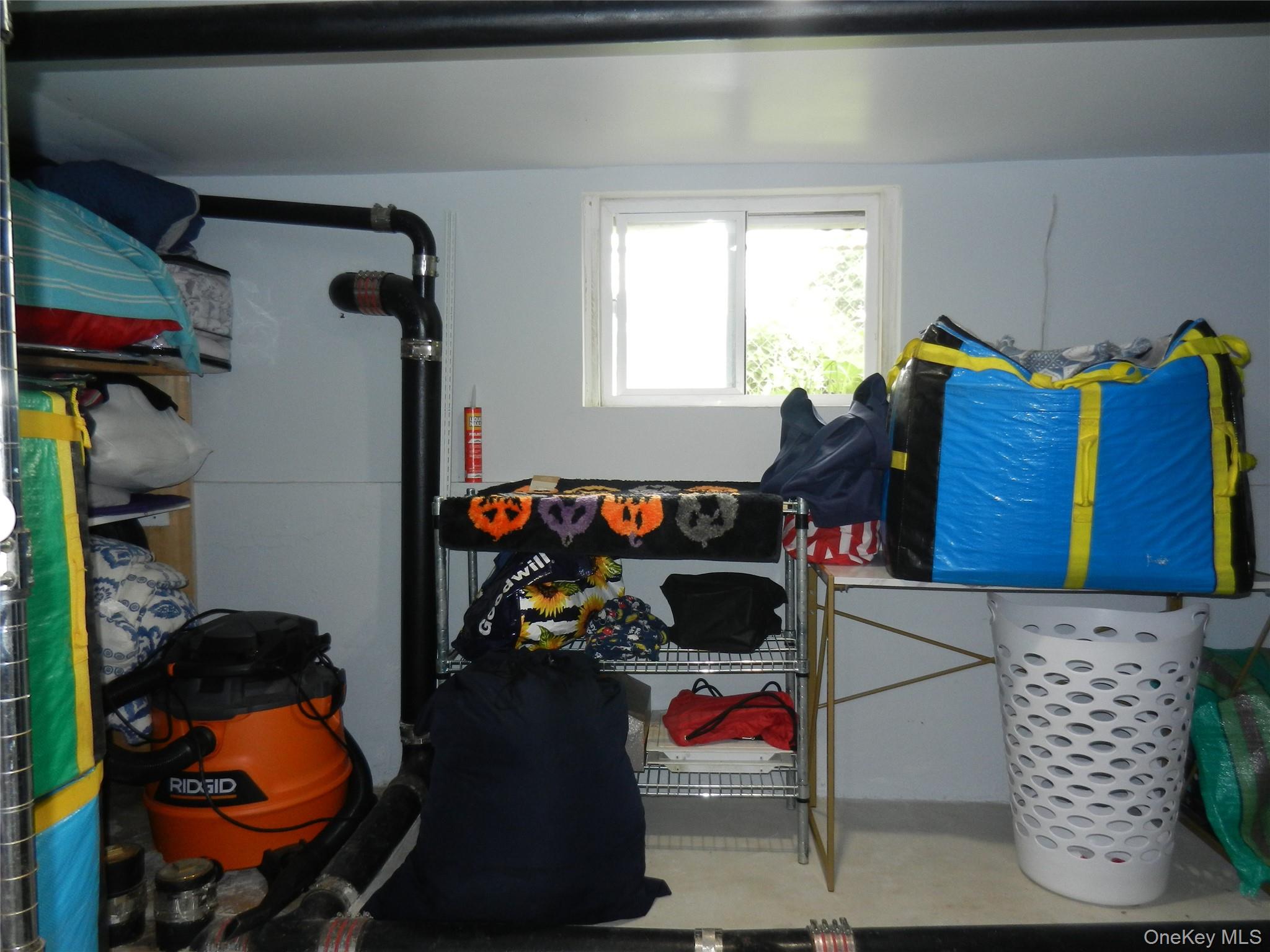 64 Avondale Street Property Photo 20