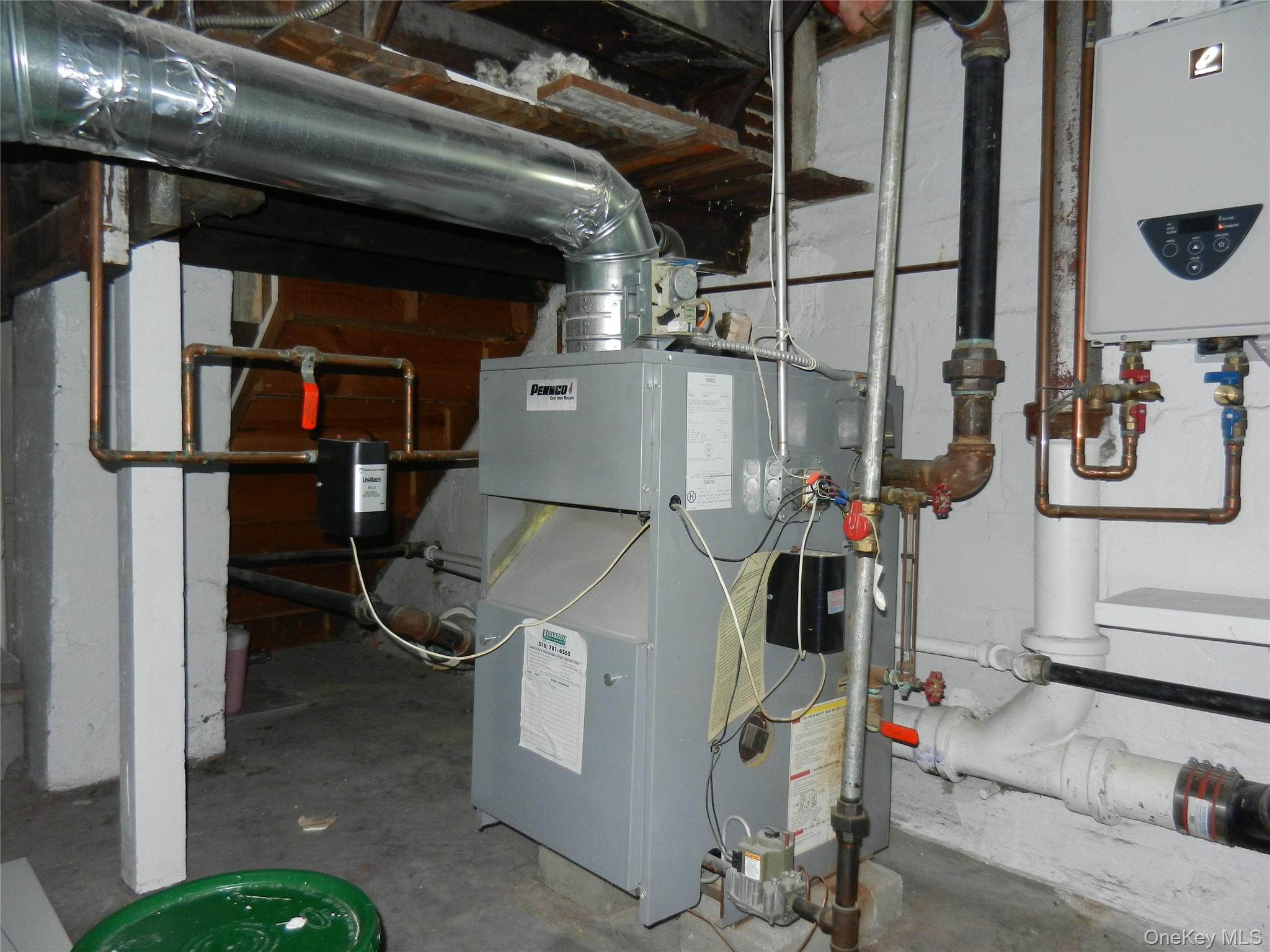 64 Avondale Street Property Photo 22