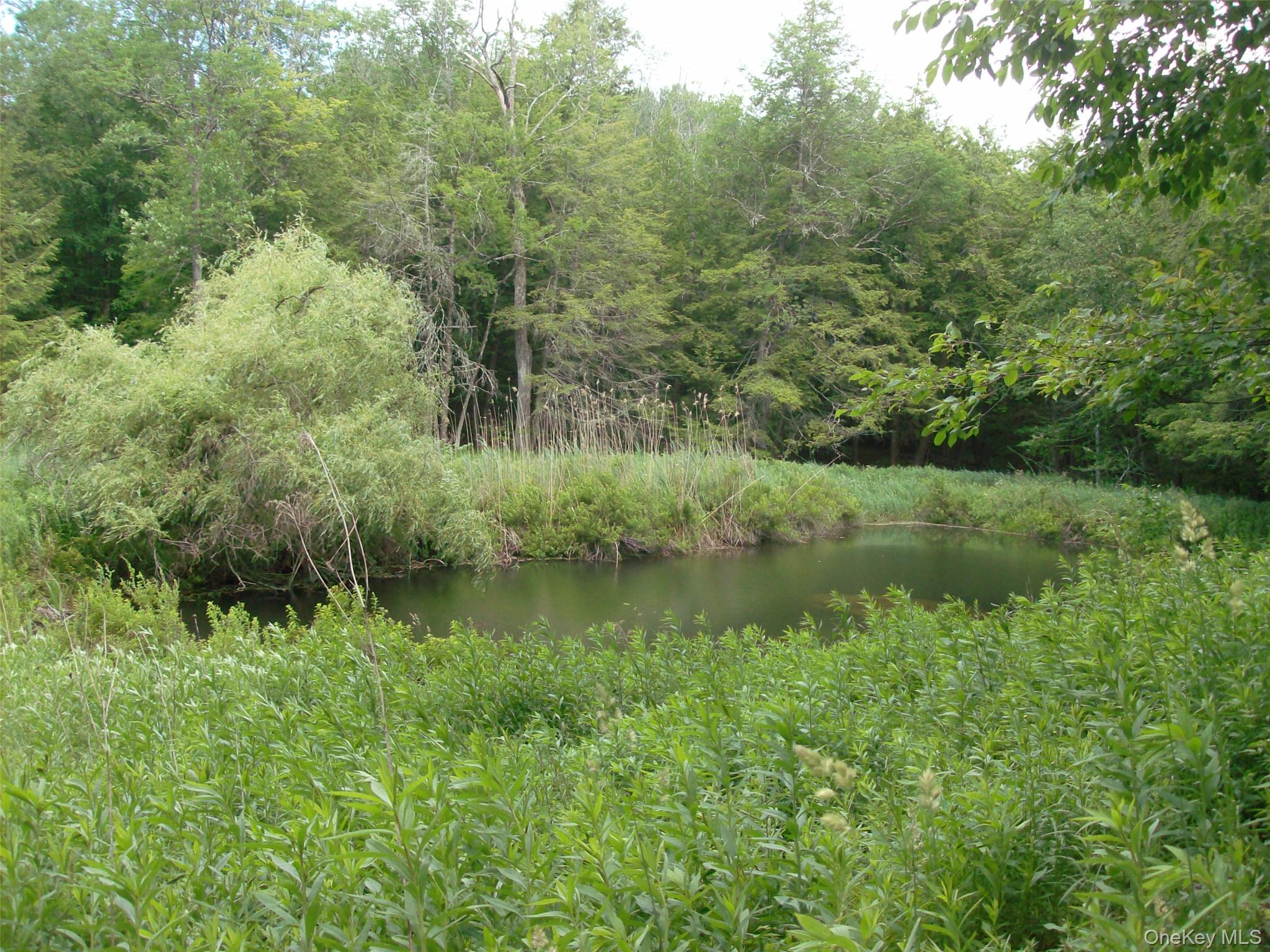 70 Bonnie Brook Road Property Photo 27