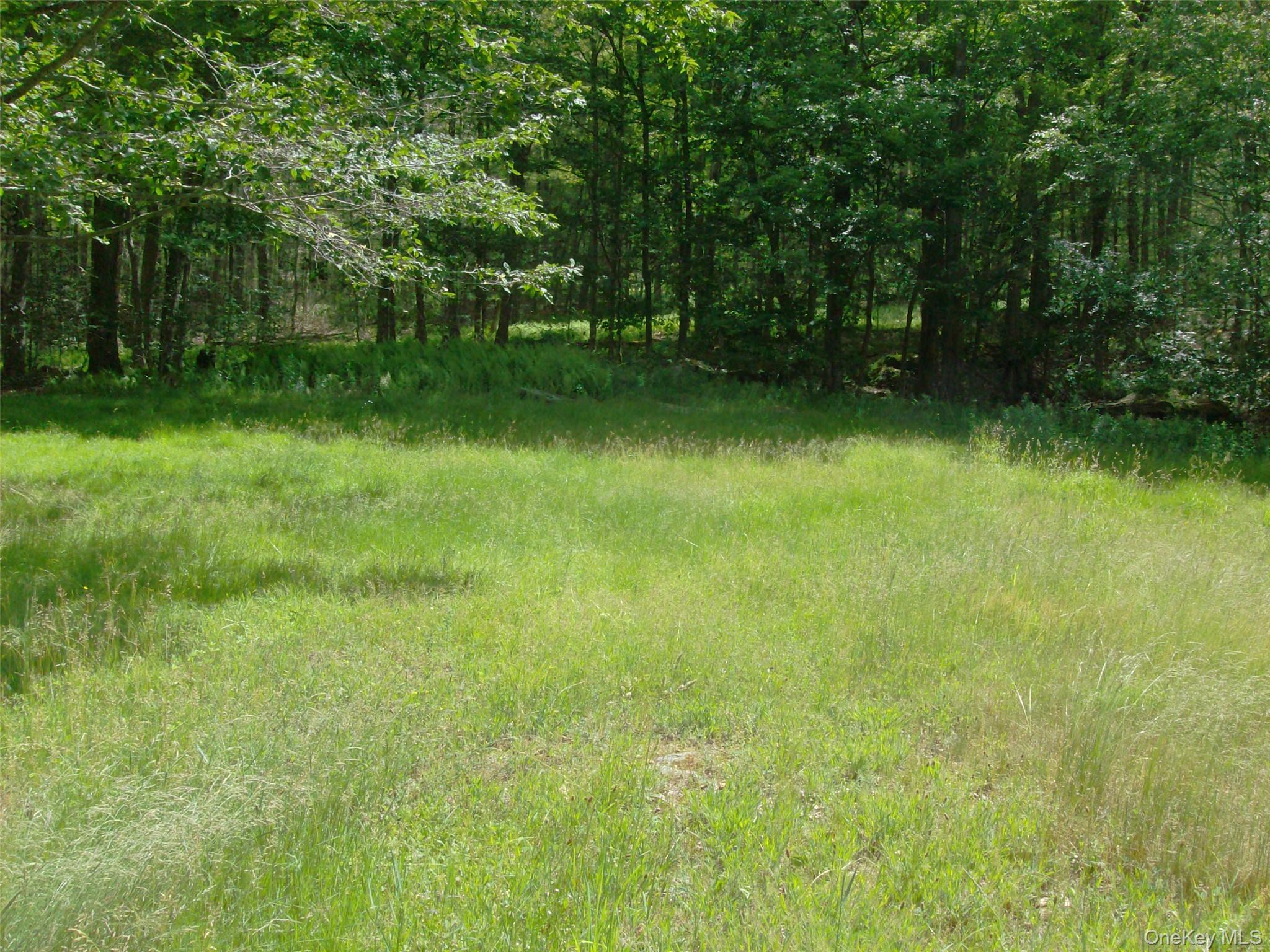70 Bonnie Brook Road Property Photo 38