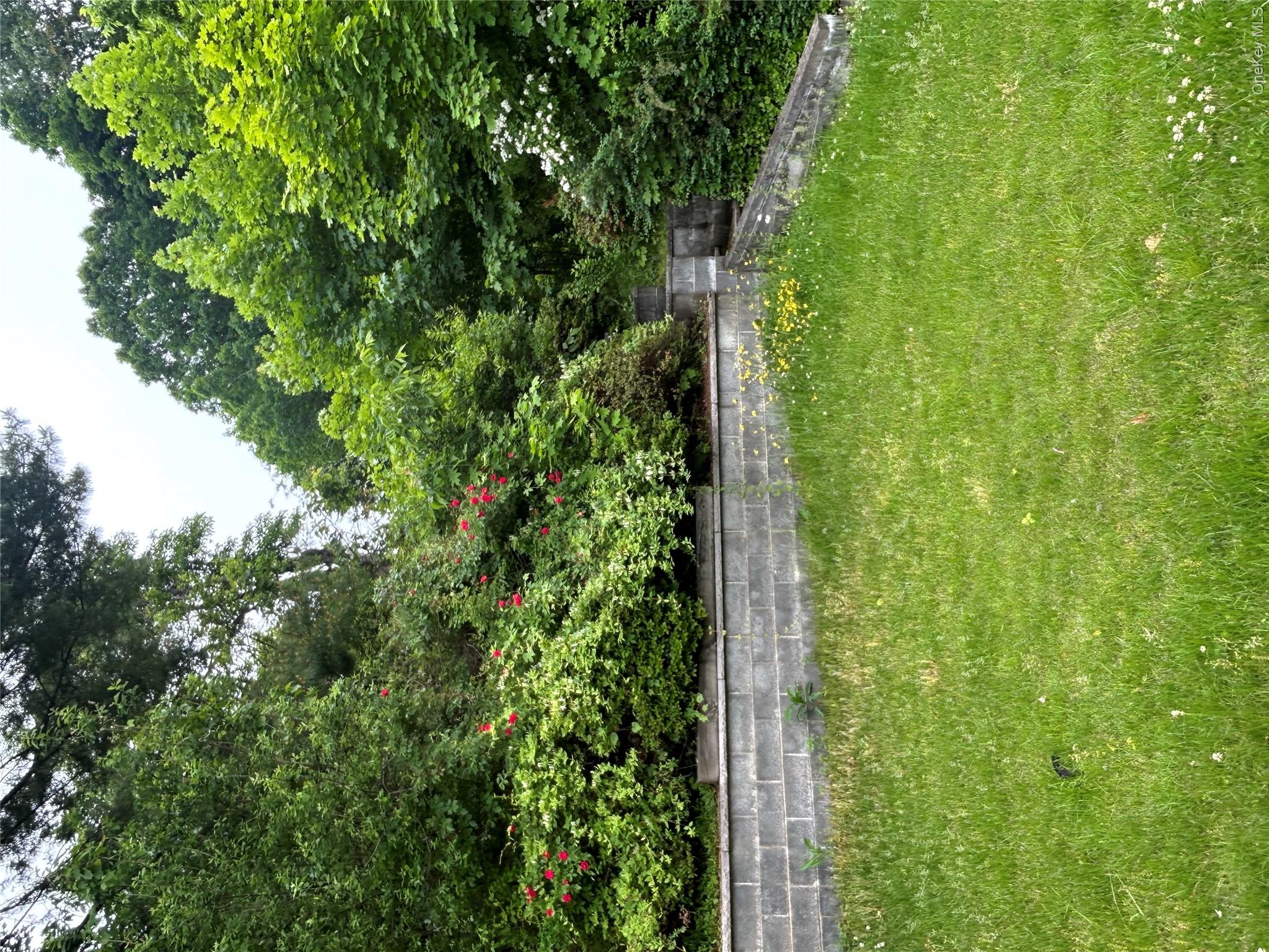207 Morsemere Avenue Property Photo 24