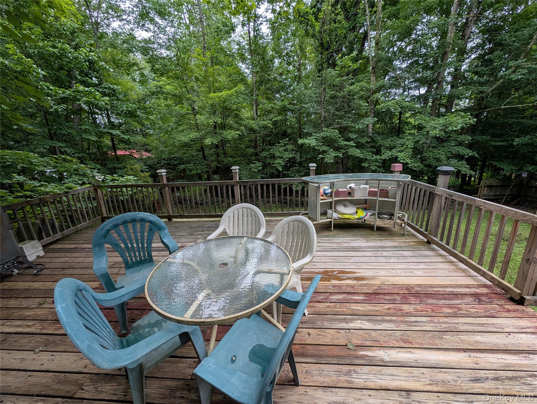 55 E Reindeer Trail Property Photo 3