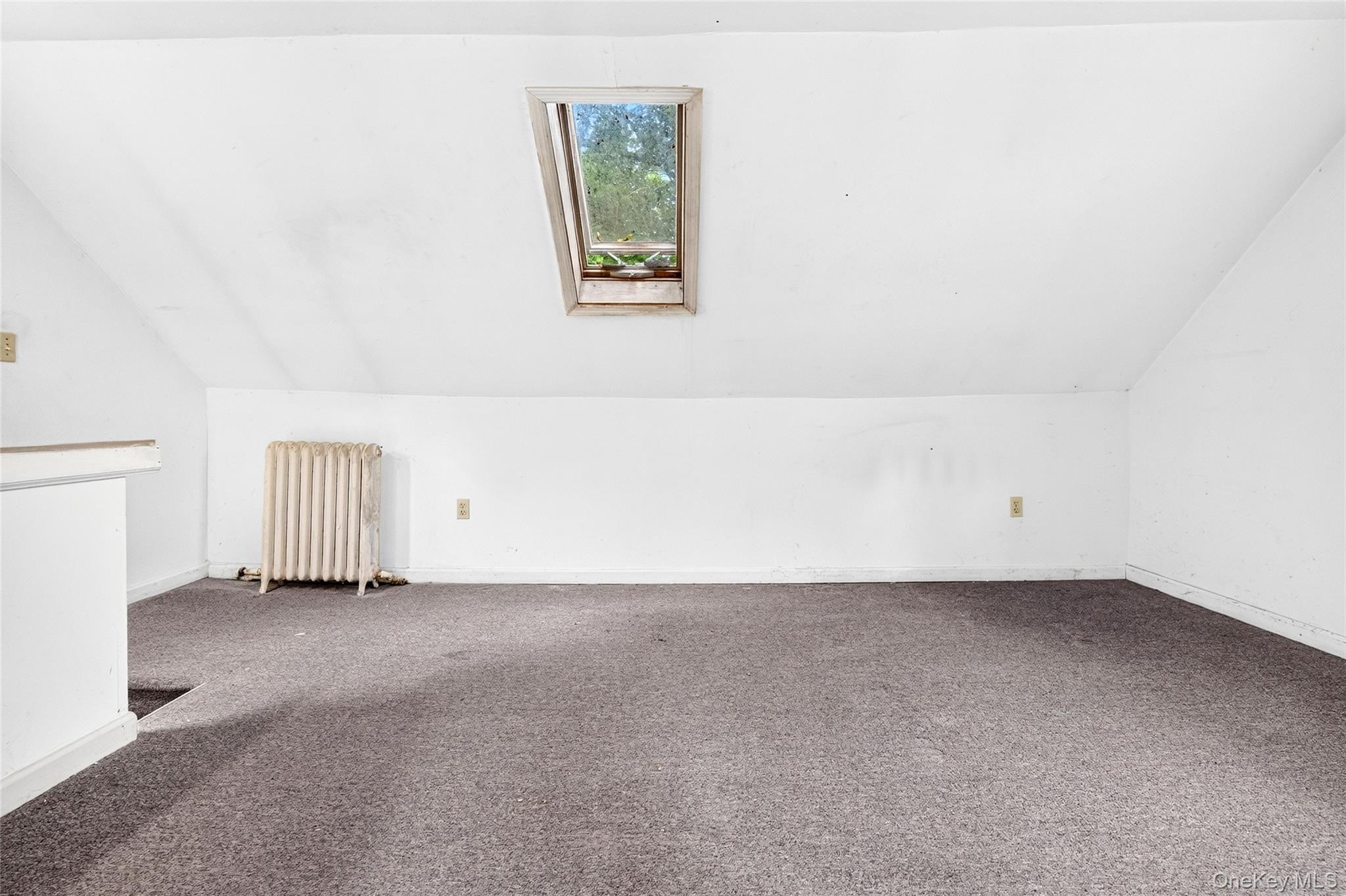 730 Western Highway Property Photo 46
