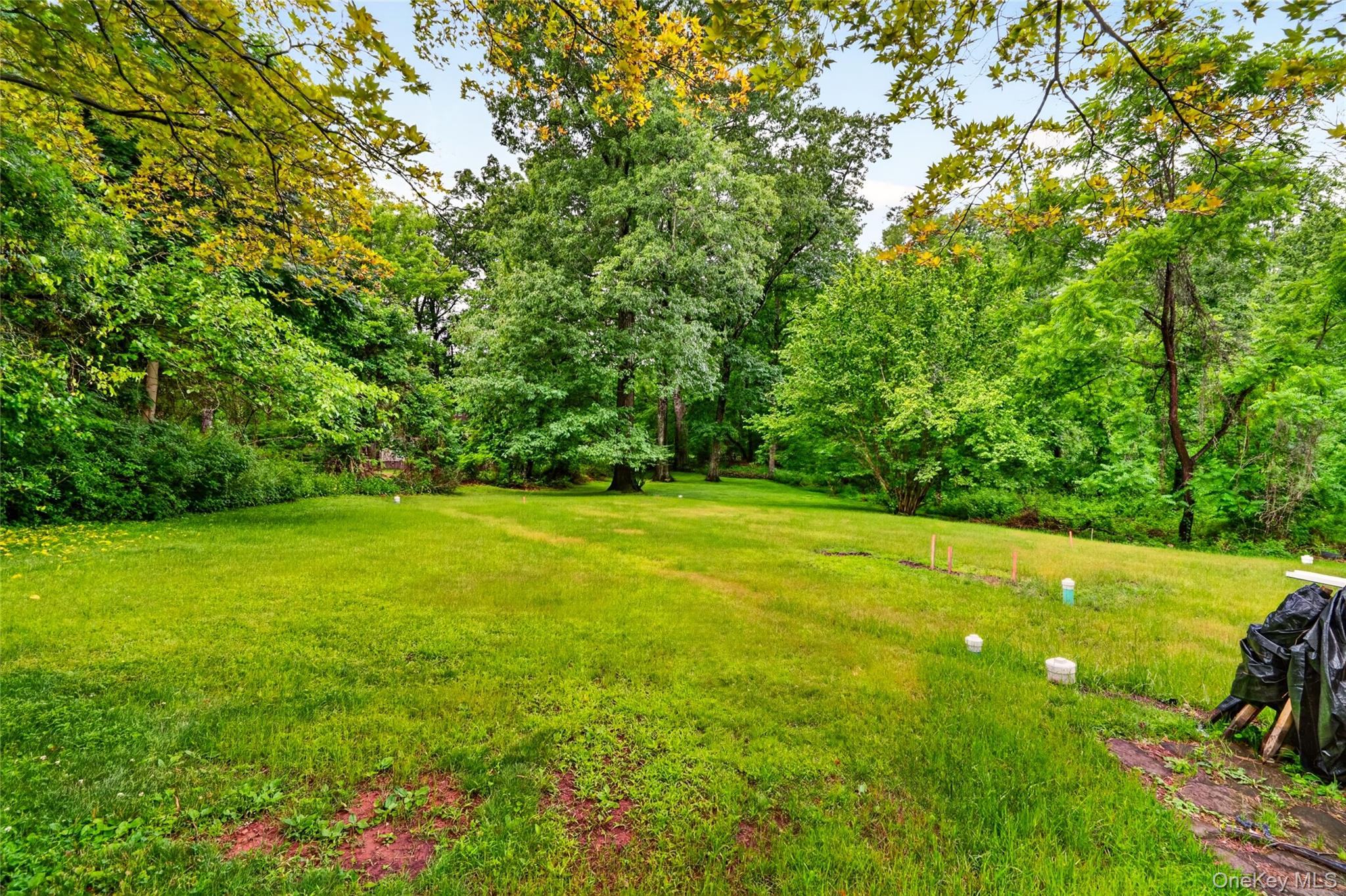 730 Western Highway Property Photo 49