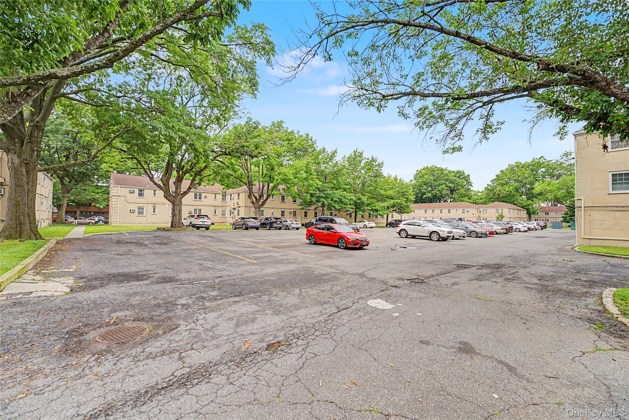 65-23 223rd Place #a Property Photo 16