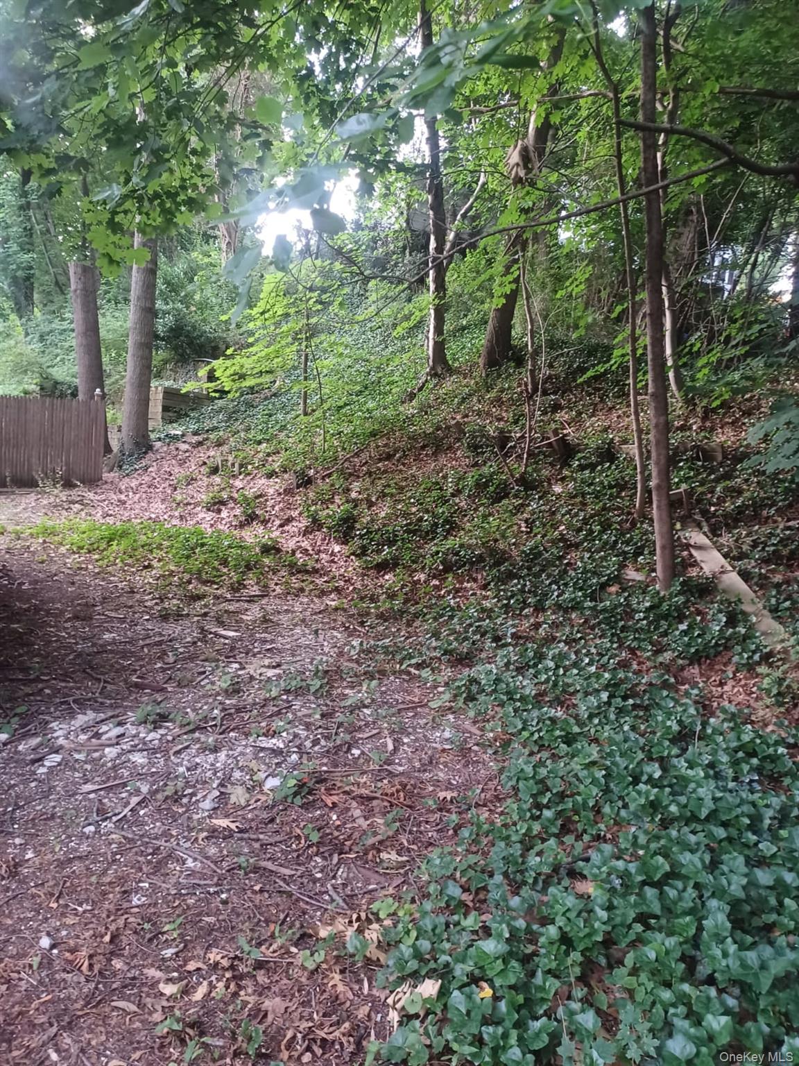 7 Continental Hill Property Photo 16