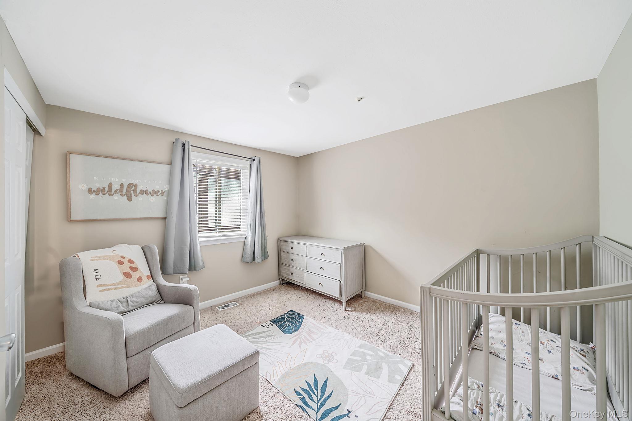 577 Blue Ridge Drive Property Photo 17